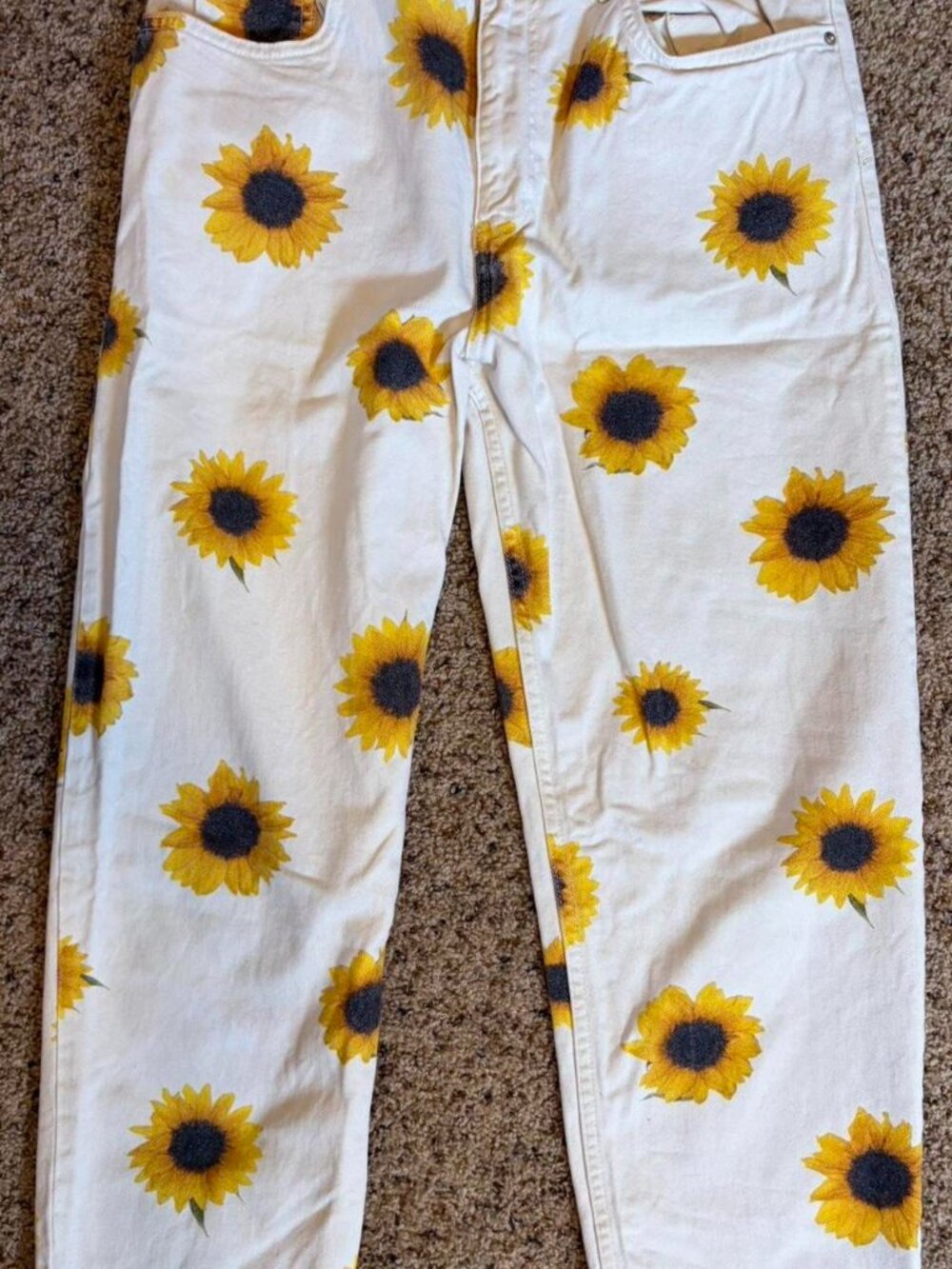 Men's BDG Sunflower Print Pants